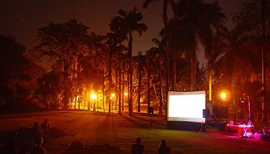 outdoor cinema palms on the background